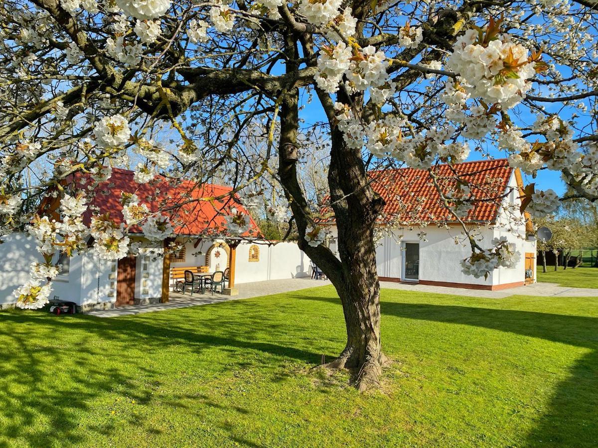 Ferienhaus Berta Sassnitz Buitenkant foto